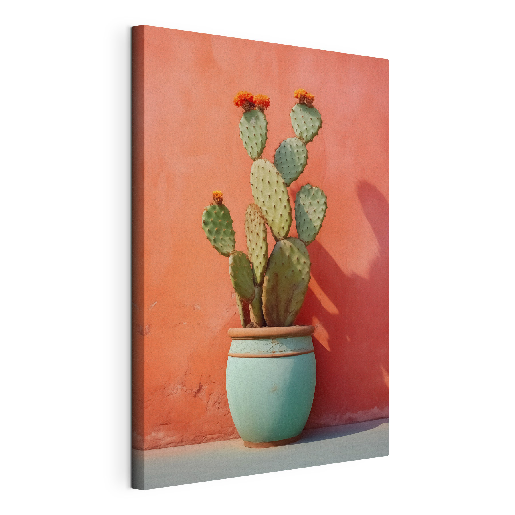 Vibrant cactus against a coral backdrop Vibrant cactus against a coral backdrop