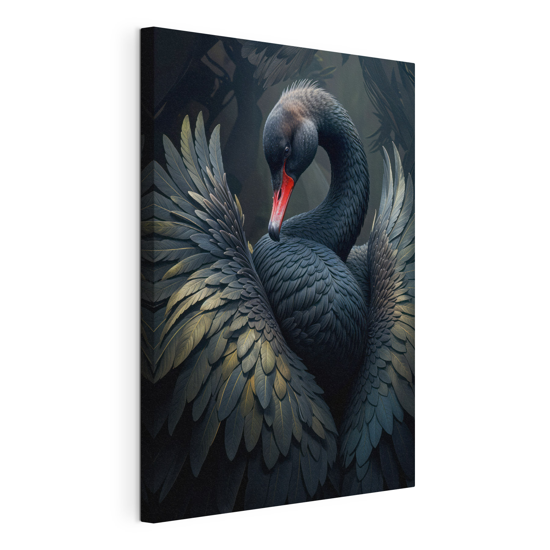 Black swan with a red beak