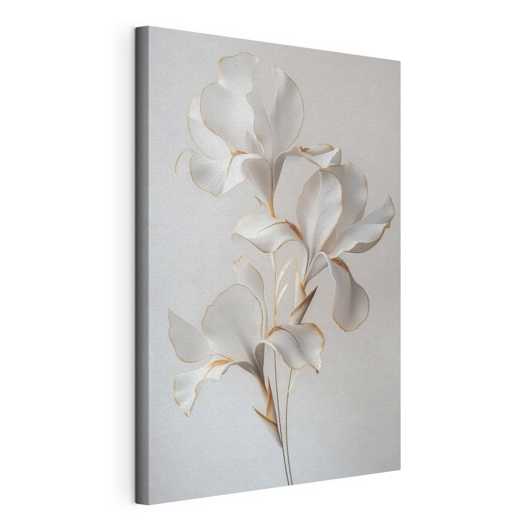 Delicate petals, soft and elegant