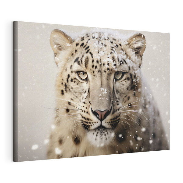 Léopard des neiges avec de la neige sur la tête Tableaux Léopard des neiges avec de la neige sur la tête