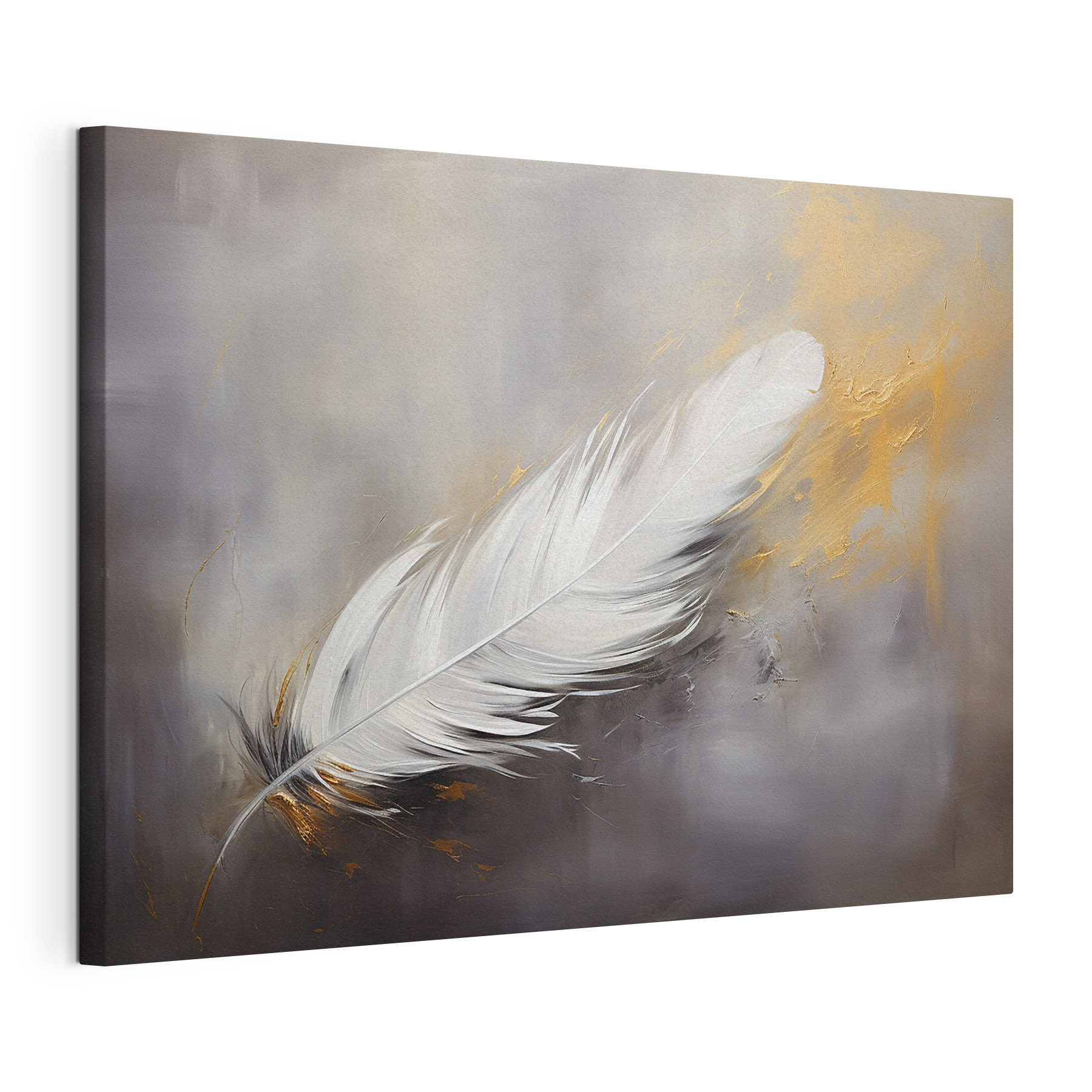 White feather on a grey background White feather on a grey background