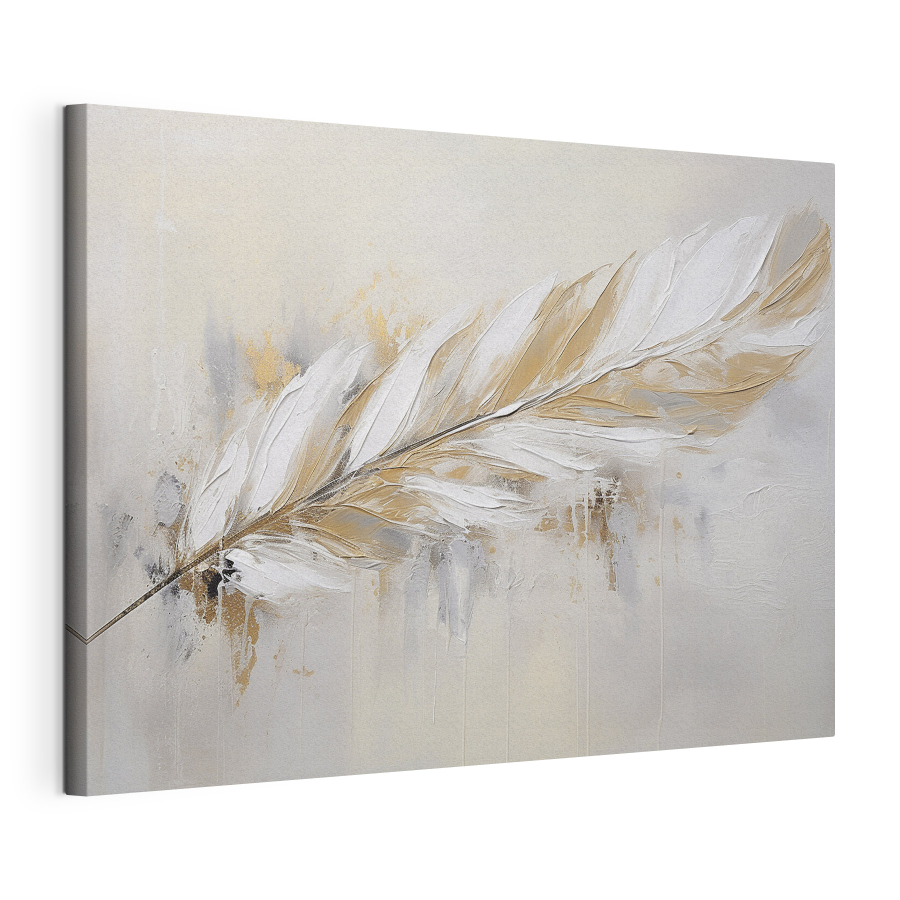 Delicate feather on a soft background Delicate feather on a soft background