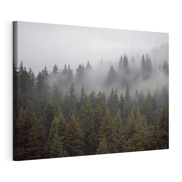 Groupe d'arbres avec brouillard Tableaux Groupe d'arbres avec brouillard