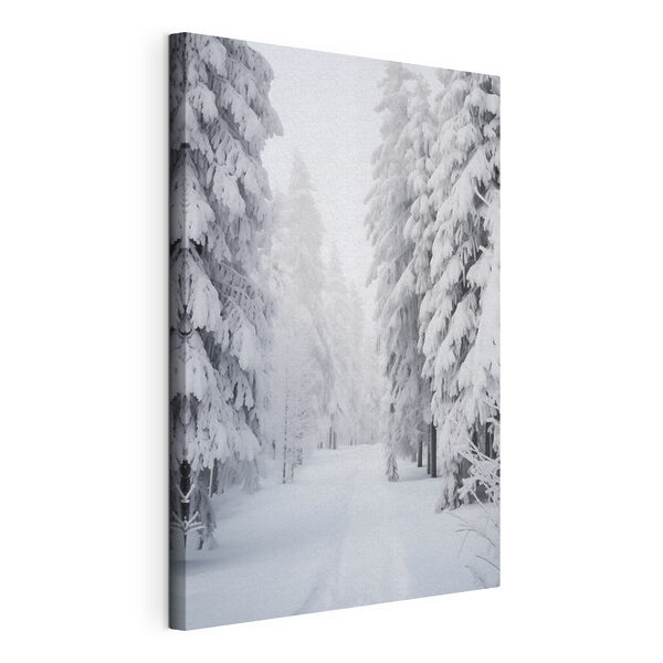 Chemin enneigé avec des arbres Tableaux Chemin enneigé avec des arbres