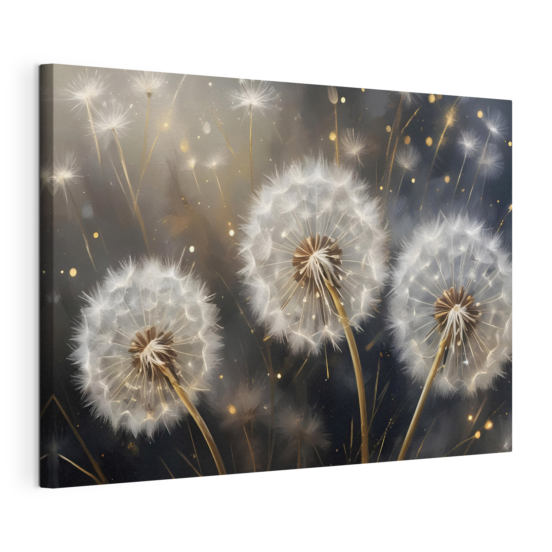 Delicate dandelions in soft light Delicate dandelions in soft light