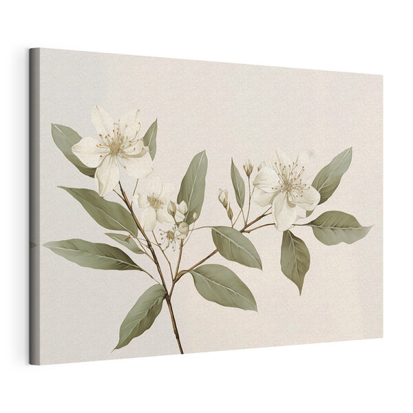 Fleurs et feuilles blanches sur une branche Tableaux Fleurs et feuilles blanches sur une branche