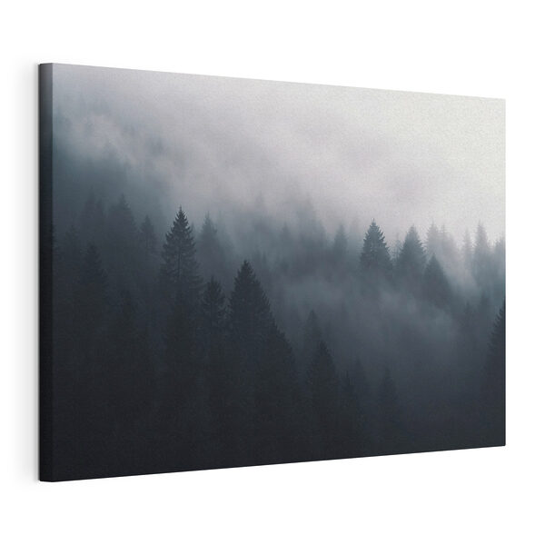 Foggy forest with trees Foggy forest with trees
