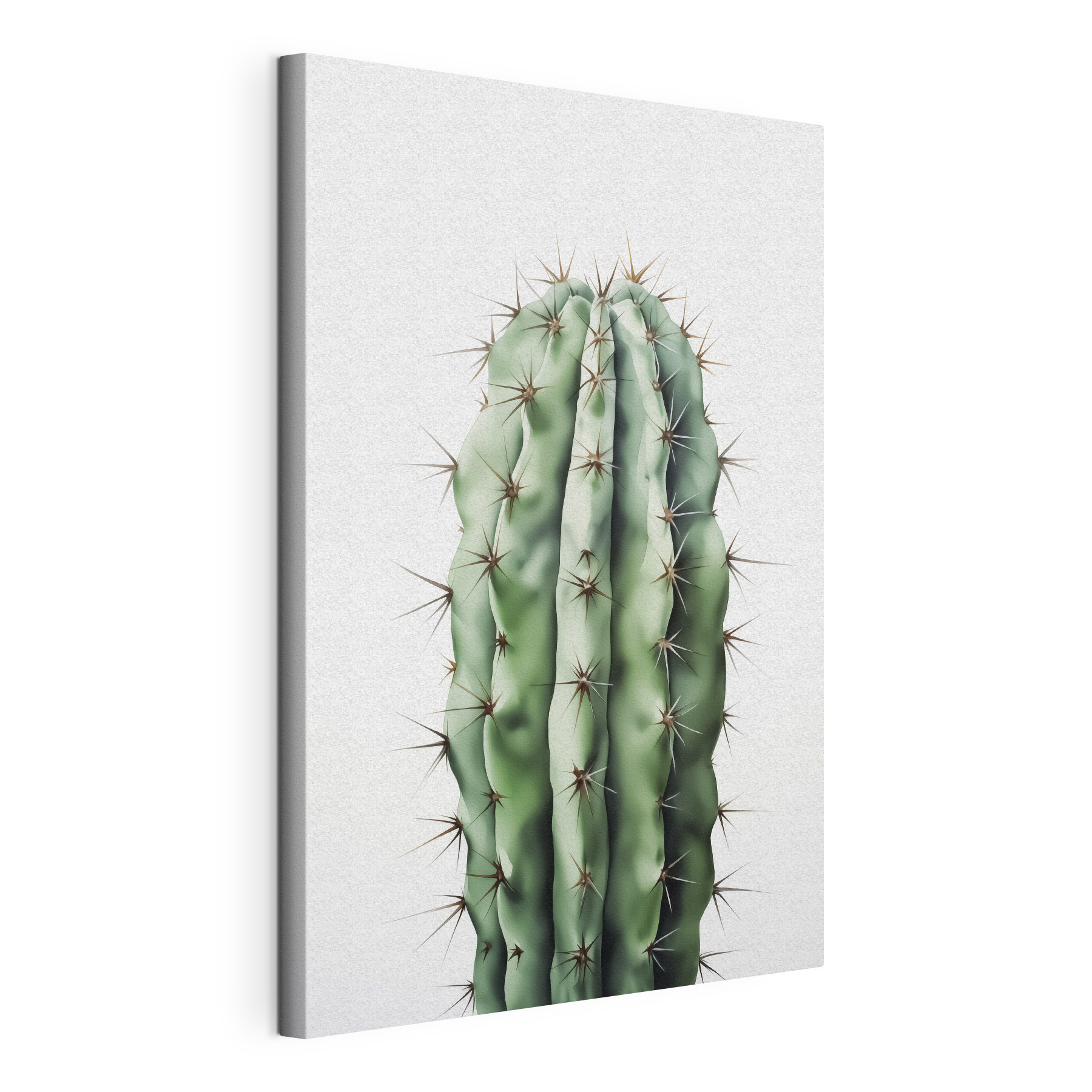 Cactus with thorns on it