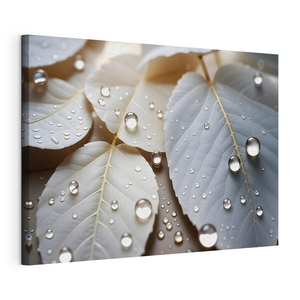 Tableaux Les délicates gouttelettes de la nature sur les feuilles