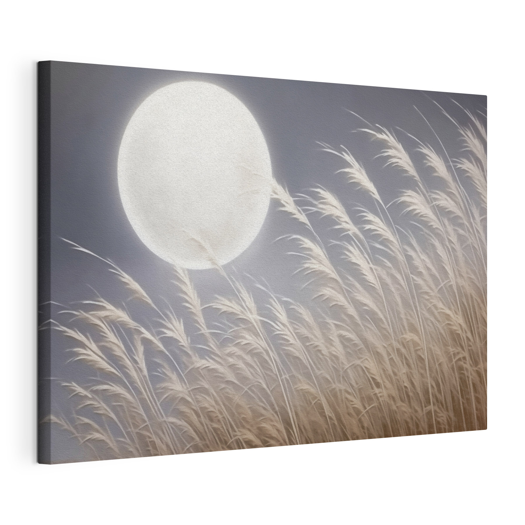 Moon in the sky
