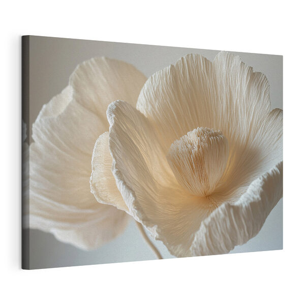Pétales de fleurs délicatement texturés Tableaux Pétales de fleurs délicatement texturés