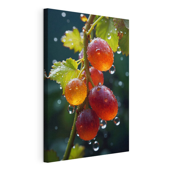 Grappe de raisins avec des gouttes d'eau dessus Tableaux Grappe de raisins avec des gouttes d'eau dessus