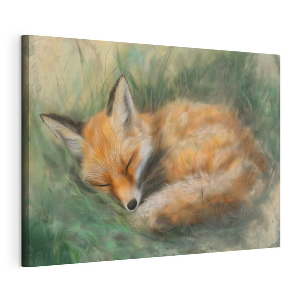 Renard dormant dans l'herbe Tableaux Renard dormant dans l'herbe