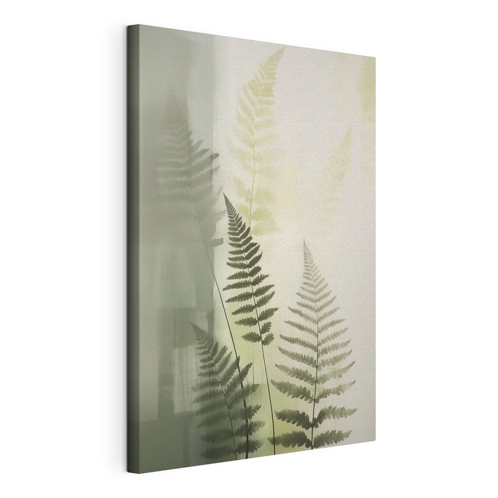 Fern leaves on a white background Fern leaves on a white background