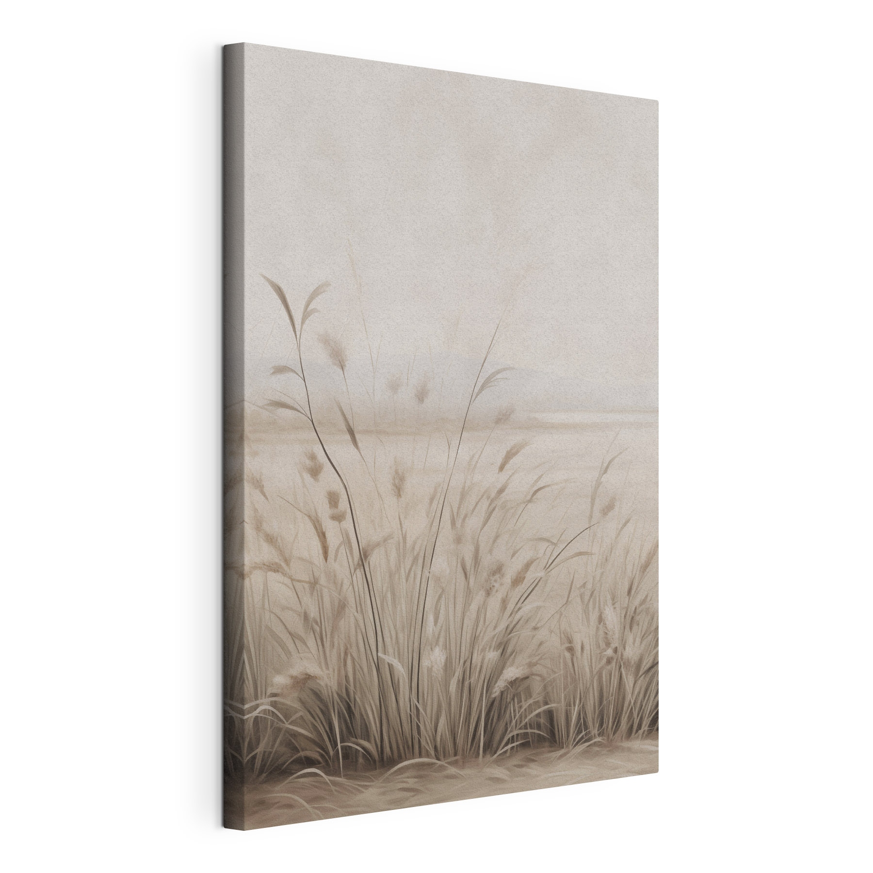 Field of grass with a foggy sky Field of grass with a foggy sky