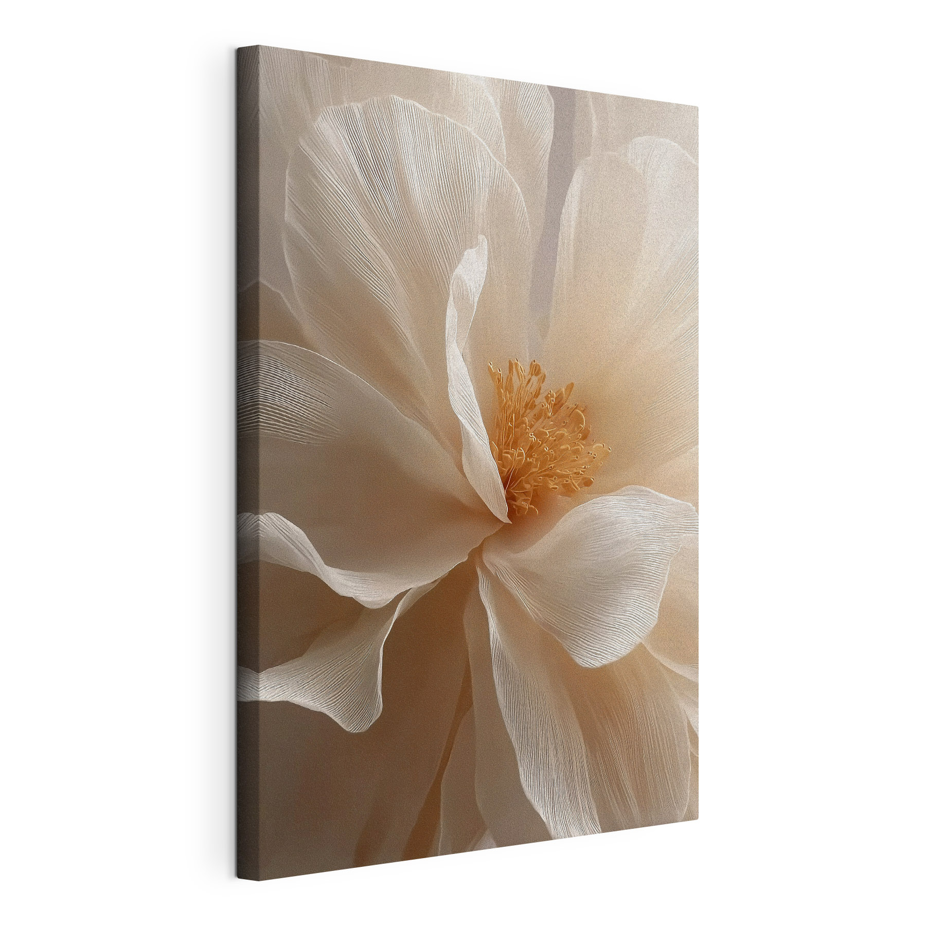 Delicate petals in soft hues Delicate petals in soft hues