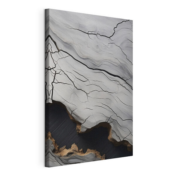 Tableaux Surface craquelée blanche et noire (UGS : s48542) Tableaux Tableaux Surface craquelée blanche et noire (UGS : s48542)