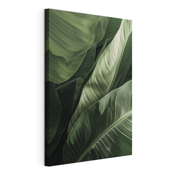 Tableaux Des feuilles d'un vert luxuriant baignées d'une douce lumière (UGS : s48577) Tableaux Tableaux Des feuilles d'un vert luxuriant baignées d'une douce lumière (UGS : s48577)
