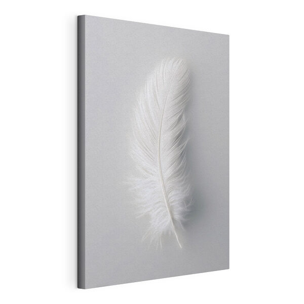 Tableaux Tableaux Une plume blanche sur fond blanc (UGS : s48782)