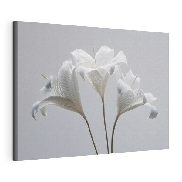 Tableaux Tableaux Bouquet de fleurs blanches (UGS : s48795)