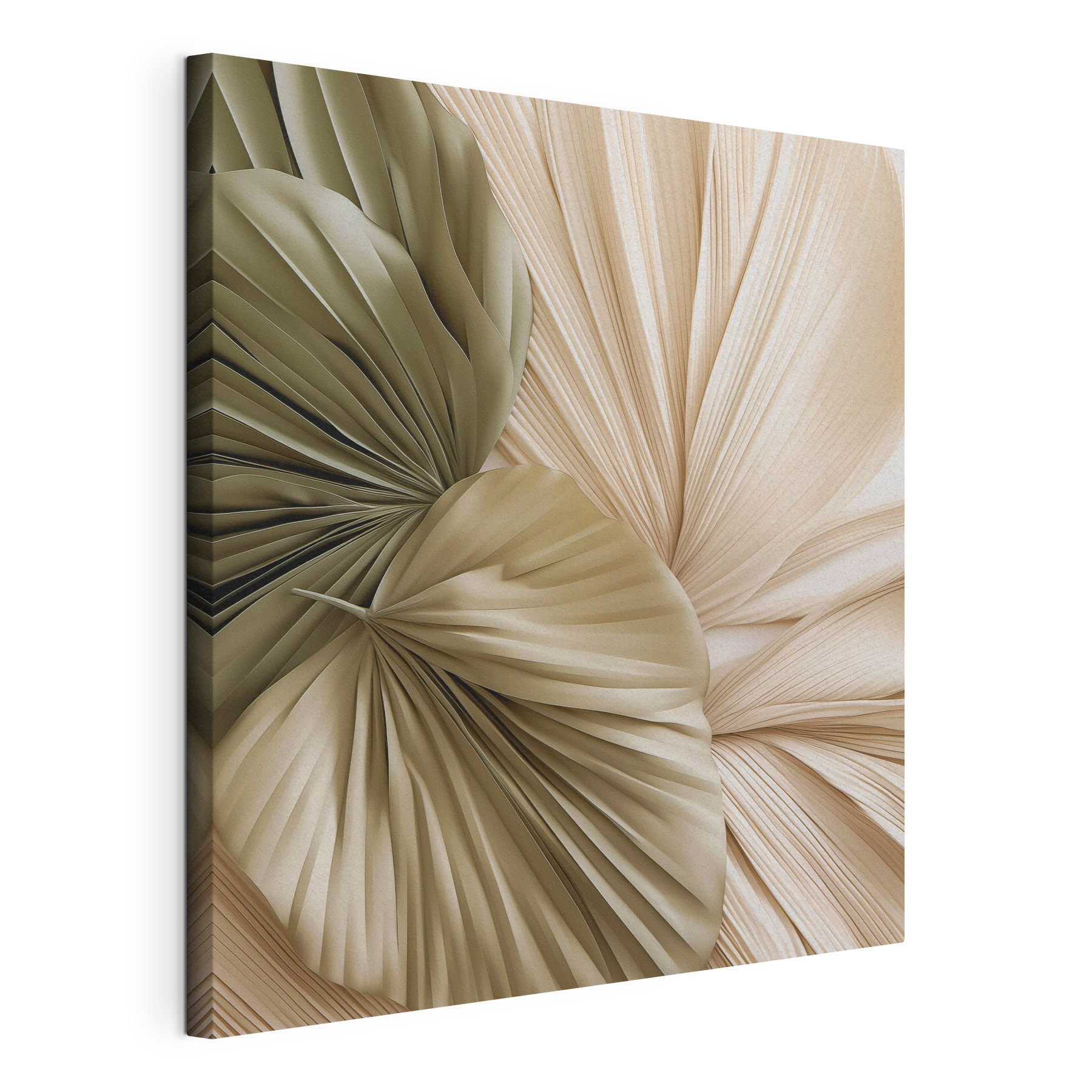 Elegant folds of natural forms Elegant folds of natural forms