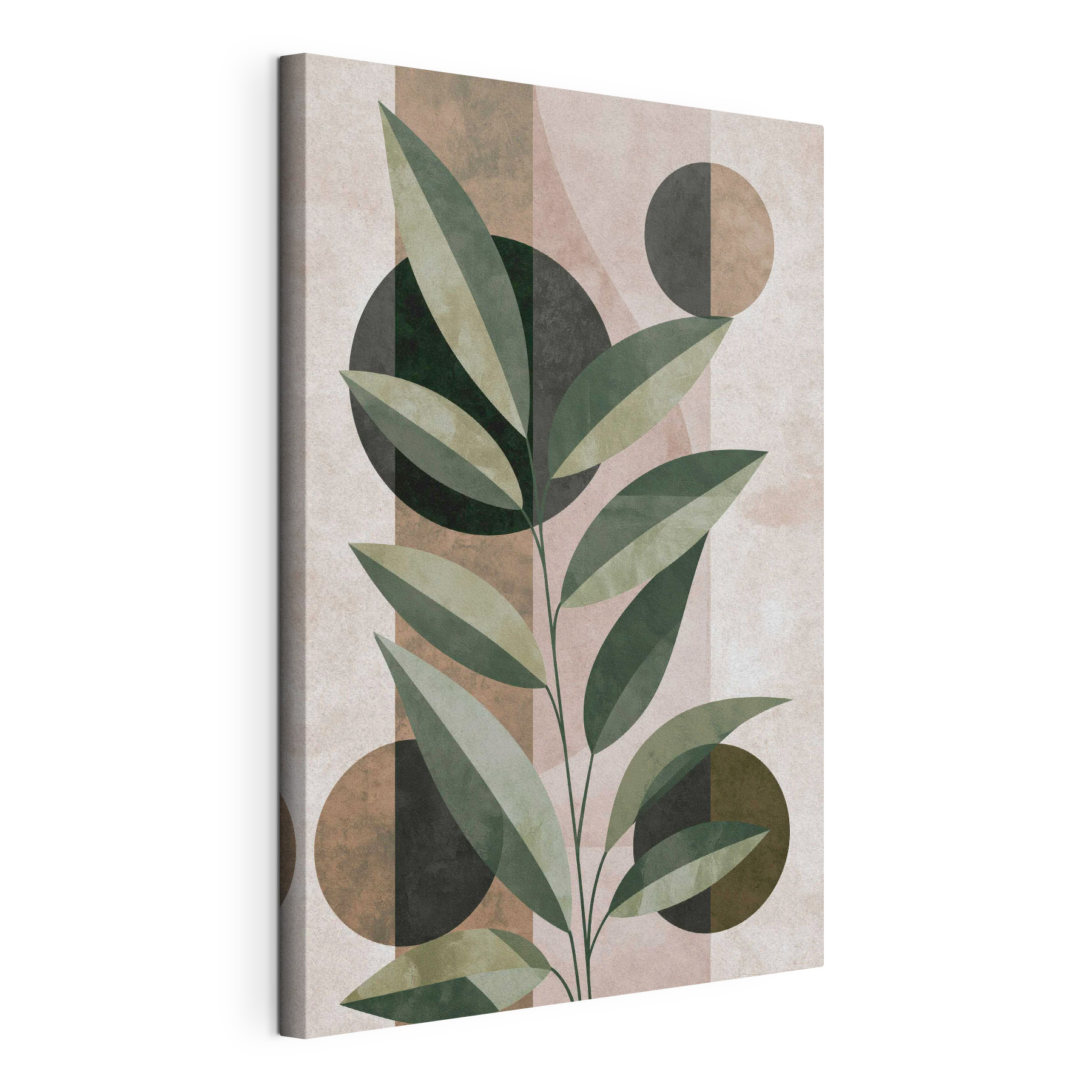 Plant with leaves and circles