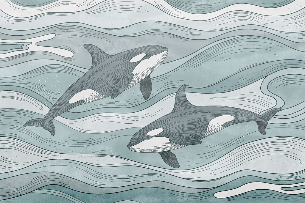 Group of whales swimming in the water