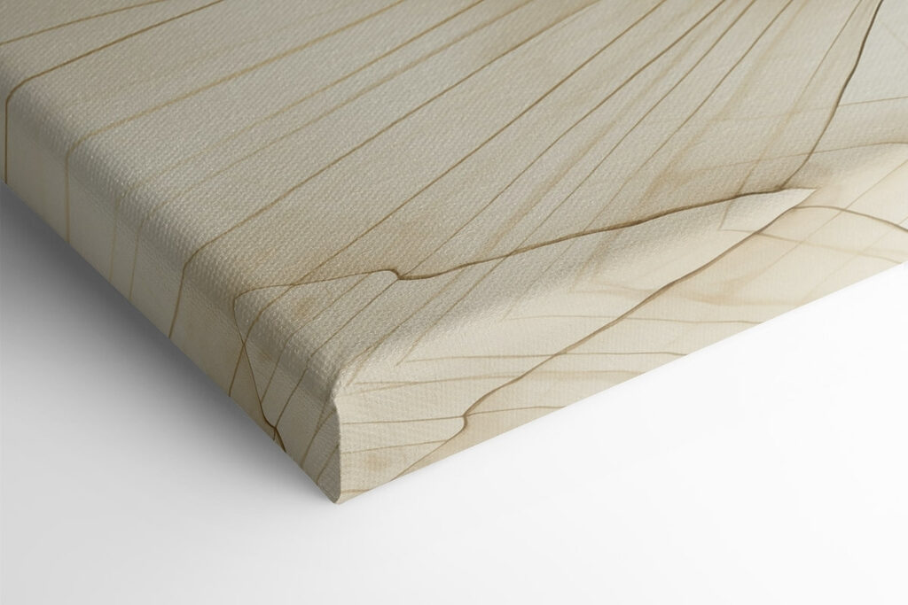 Delicate lines of nature's design