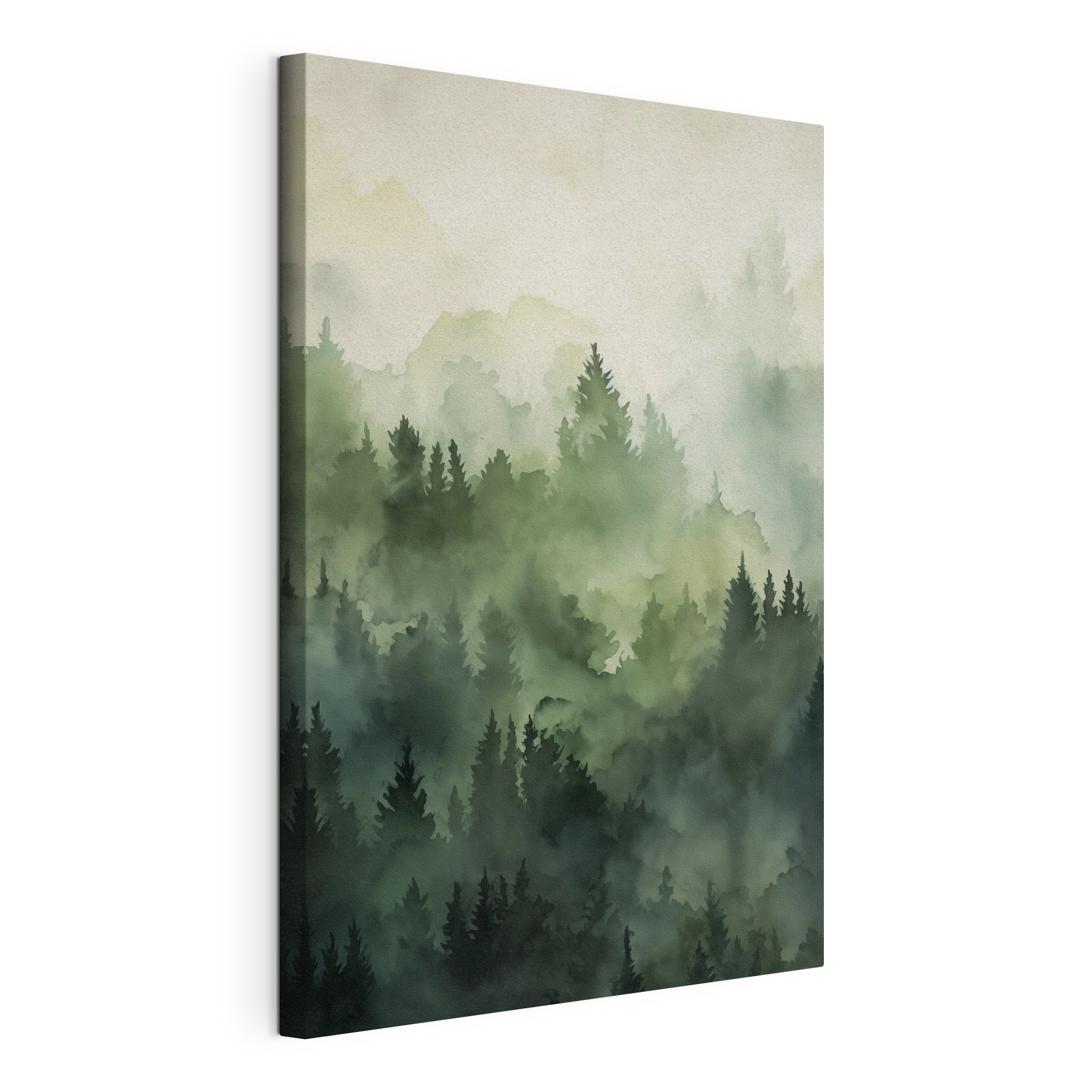 Foggy forest with trees