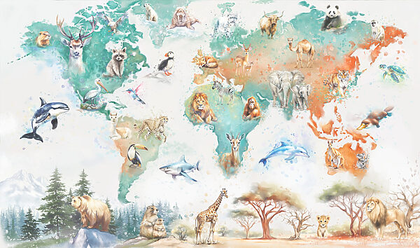 Map of animals and birds
