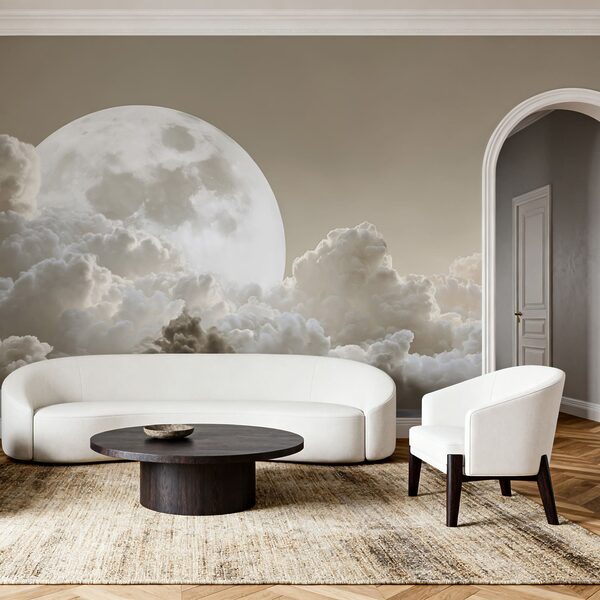 La pleine lune dans le ciel La pleine lune dans le ciel