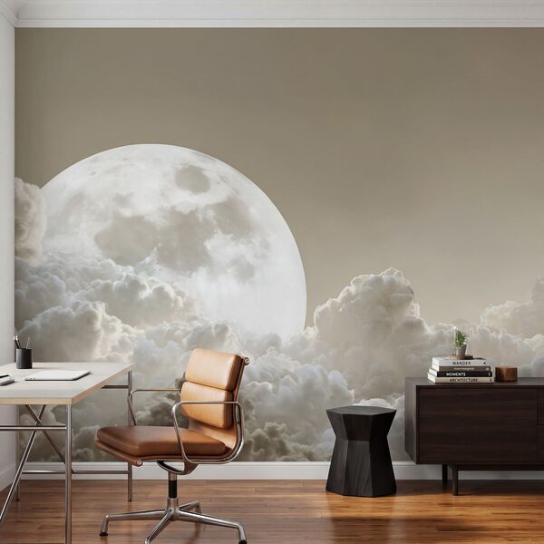 La pleine lune dans le ciel La pleine lune dans le ciel