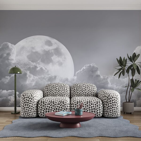 La pleine lune dans le ciel
