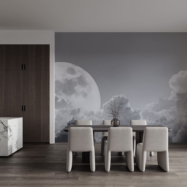La pleine lune dans le ciel
