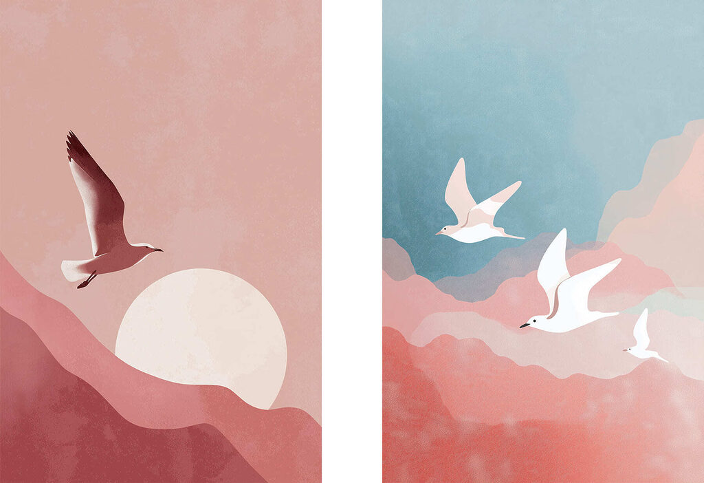 Two birds flying in the sky