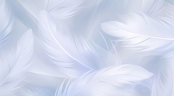 Soft feathers in gentle motion Soft feathers in gentle motion