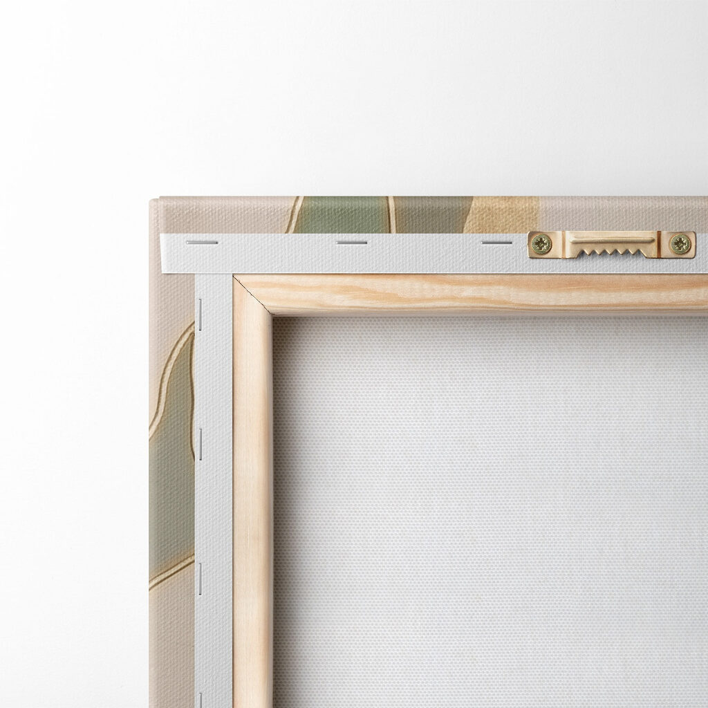 Elegant lines and soft colors Elegant lines and soft colors