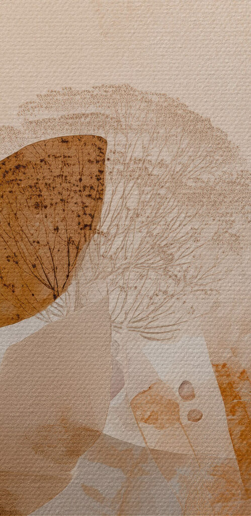 Soft hues of nature's tranquility