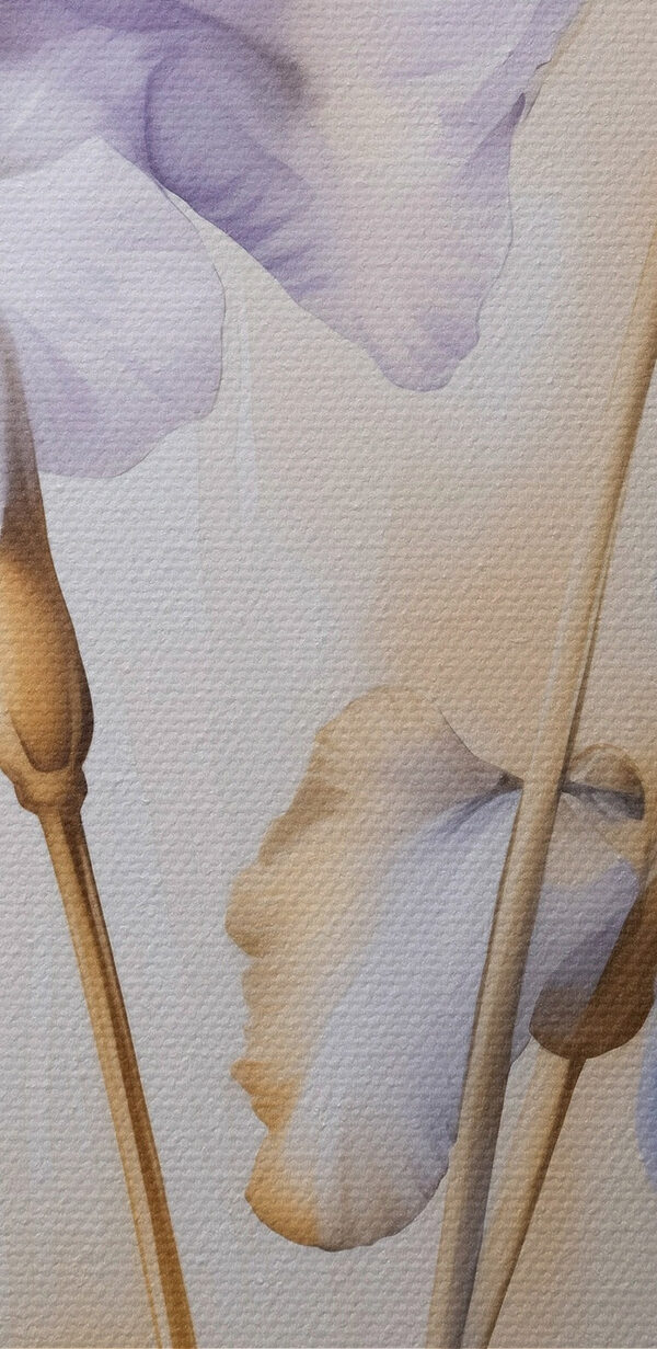 Elegant irises in soft hues