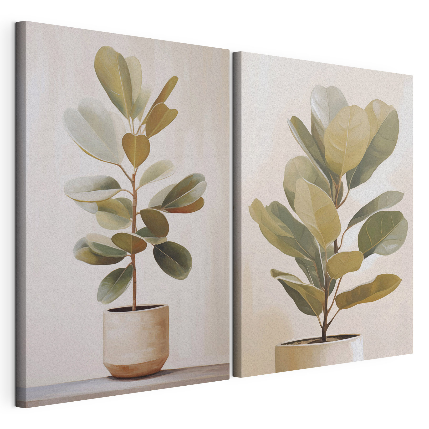 Potted plant in a white pot Potted plant in a white pot