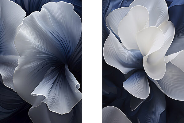 Delicate petals in cool tones Delicate petals in cool tones