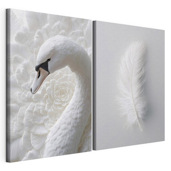 Une plume blanche et un cygne Impression sur toile modulaire Une plume blanche et un cygne