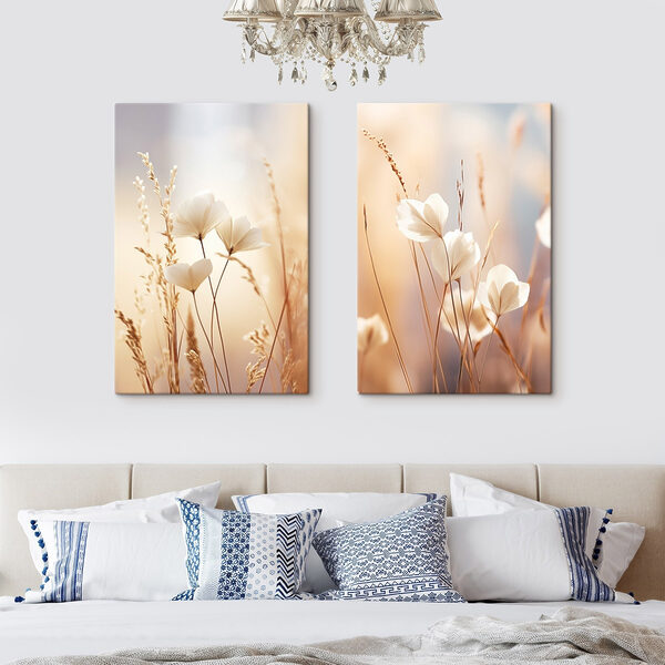 Soft petals in gentle sunlight Soft petals in gentle sunlight
