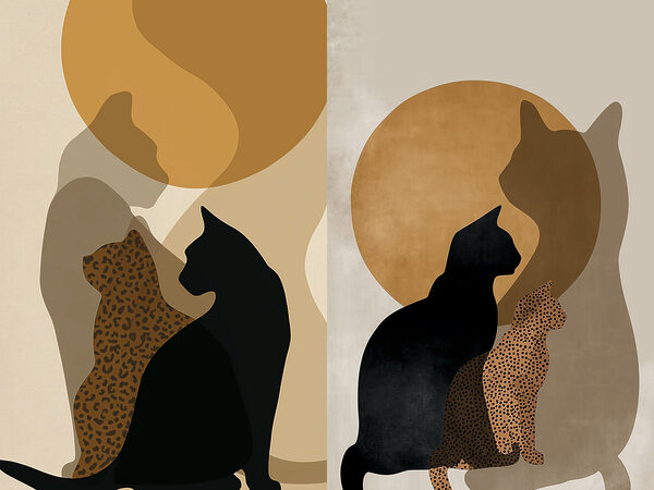 Cat and a cat with a cat in the sun Cat and a cat with a cat in the sun