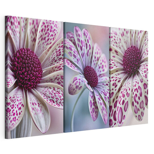 Une beauté éclatante aux motifs chatoyants Impression sur toile modulaire Une beauté éclatante aux motifs chatoyants