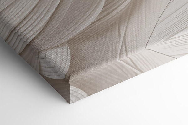 Gentle waves of soft elegance Gentle waves of soft elegance