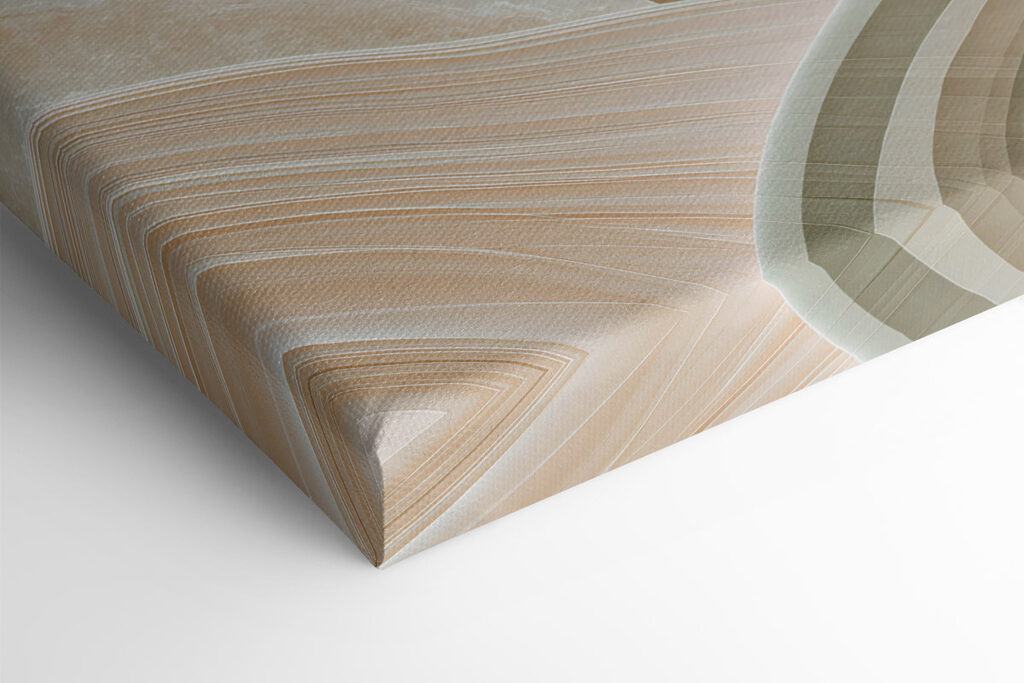 - Soft curves and flowing lines unite - Soft curves and flowing lines unite