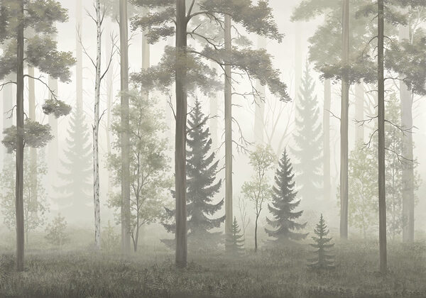 Foggy forest with trees