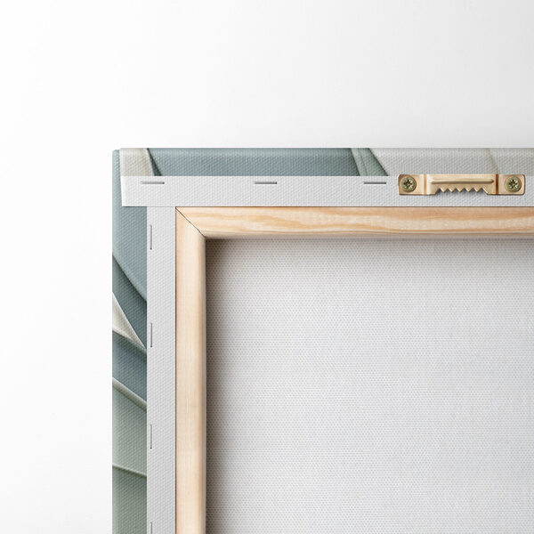 Soft curves in serene colors