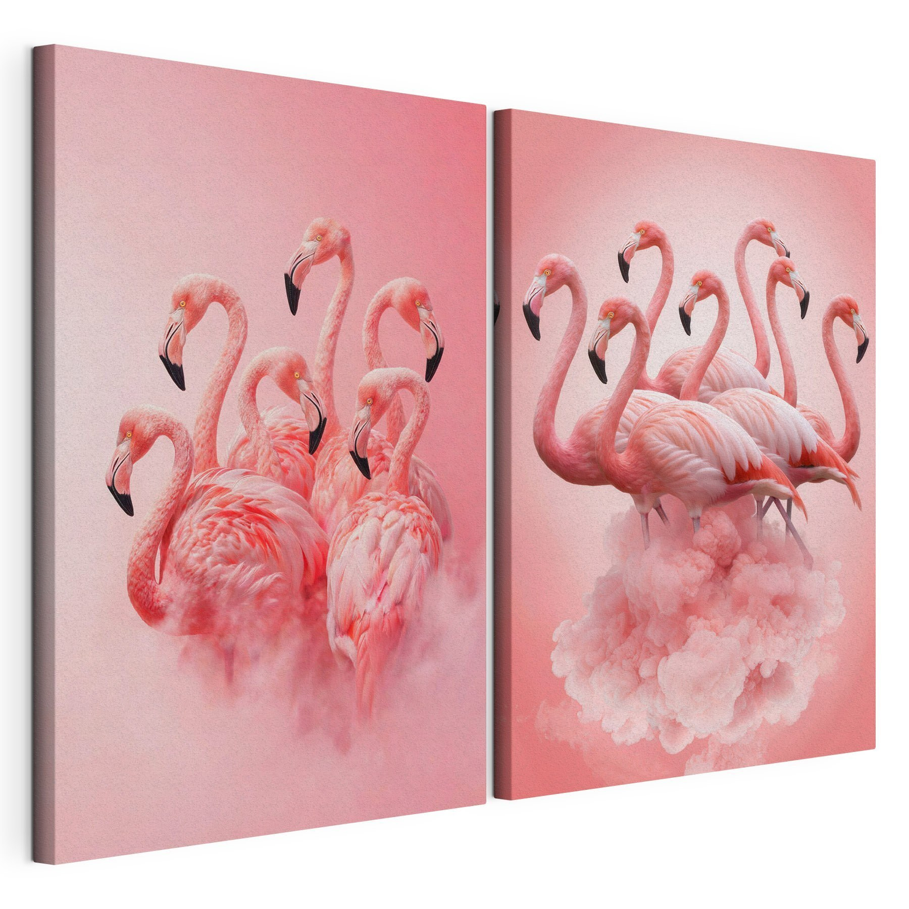 Group of flamingos in the clouds